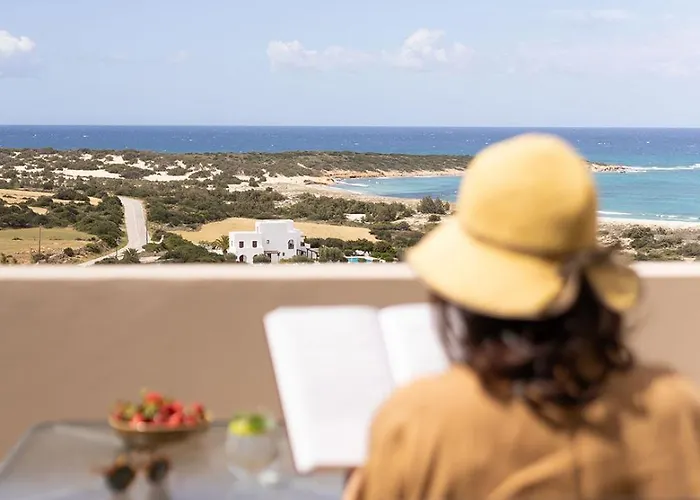 Olive Vista * Kastrákion